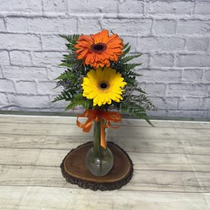 Gerber Daisy Bud Vase