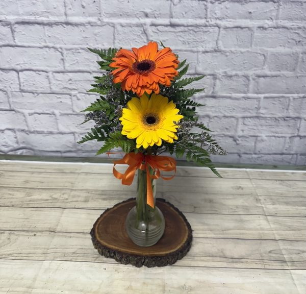 Gerber Daisy Bud Vase